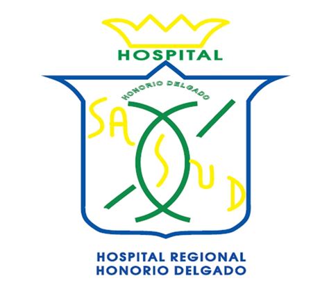 hospital honorio delgado citas|Hospital III Regional Honorio Delgado